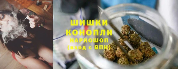 первитин Богданович