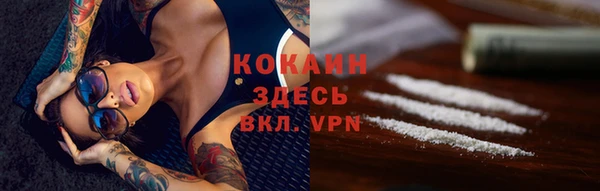 первитин Богданович