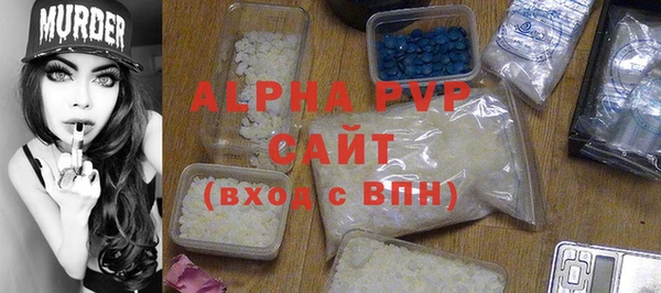 дживик Белокуриха
