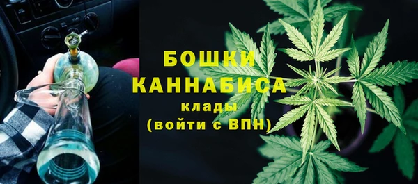 дживик Белокуриха