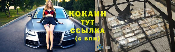 СК Богородск