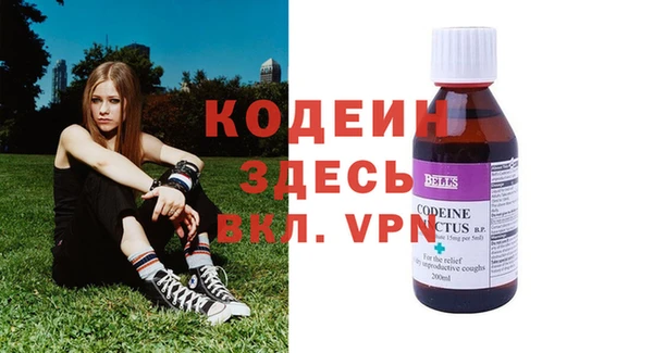 дживик Белокуриха