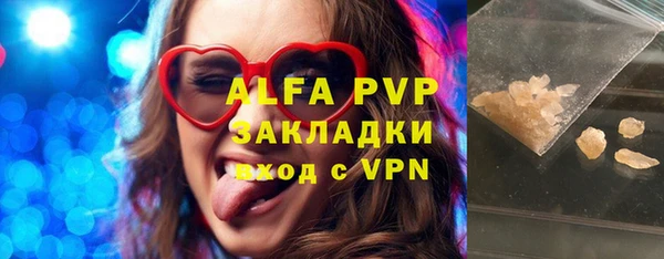 дживик Белокуриха