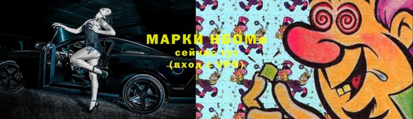 гашик Богородицк
